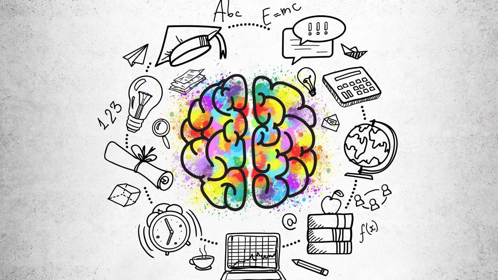 Verstand vs. Wahrnehmung