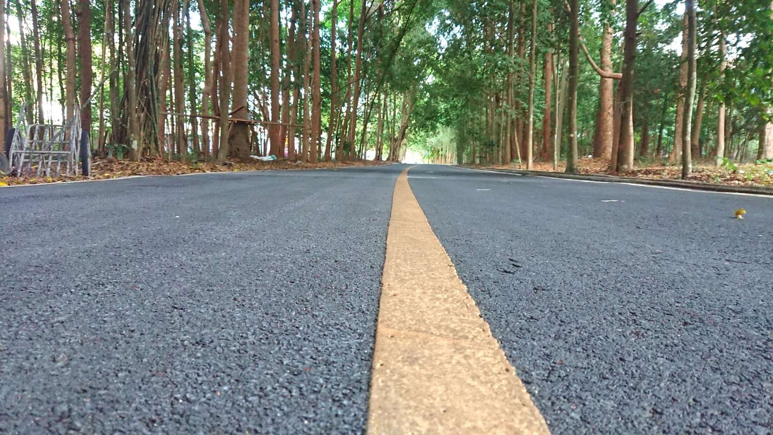 Bewusstseinserweiterung (1)