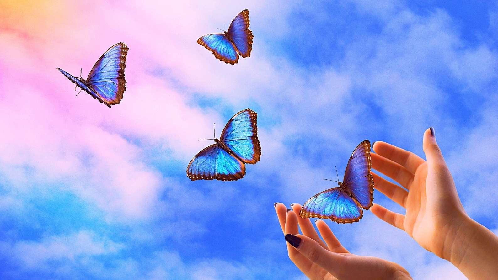 Schöpferisches erschaffen